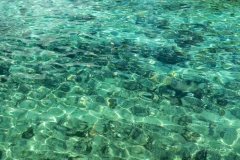Eaux cristallines à l'Anse Bertrand