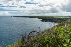 La Côte Nord Est de Grande Terre vue de la Grande Vigie