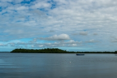 Vieux Bourg - Vue sur la mangrove