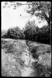 Hartmannswillerkopt-17