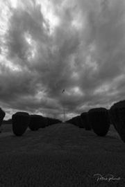 Hartmannswillerkopt-6