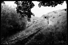 Hartmannswillerkopt-11