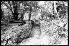 Hartmannswillerkopt-15