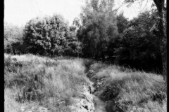 Hartmannswillerkopt-17