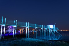 24082021-_DSC7954