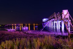 24082021-_DSC7960