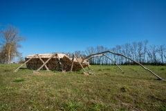 "La Rosalie des Alpes" Matthew Burton - La Couarde - Avril 2022. .