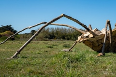 "La Rosalie des Alpes" Matthew Burton - La Couarde - Avril 2022. .