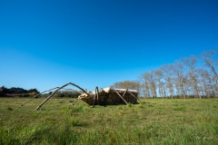 "La Rosalie des Alpes" Matthew Burton - La Couarde - Avril 2022. .
