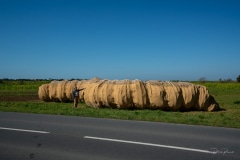 "Le Lombric" Matthew Burton - Loix - Pont du Feneau - Avril 2022. .