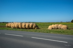 "Le Lombric" Matthew Burton - Loix - Pont du Feneau - Avril 2022. .