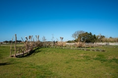 "Le Chemin Fleuri" Matthew Burton - Saint-Clément-des-Baleines- Avril 2022. .