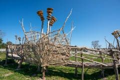 "Le Chemin Fleuri" Matthew Burton - Saint-Clément-des-Baleines- Avril 2022. .