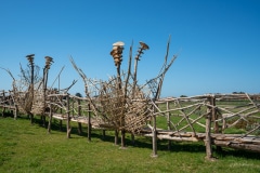 "Le Chemin Fleuri" Matthew Burton - Saint-Clément-des-Baleines- Avril 2022. .