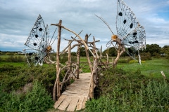 "Le Ponton aux Papillons" - Matthew Burton - Rivedoux - Avril 2022. .