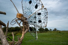 "Le Ponton aux Papillons" - Matthew Burton - Rivedoux - Avril 2022. .