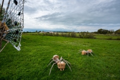 "Le Ponton aux Papillons" - Matthew Burton - Rivedoux - Avril 2022. .