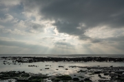 _DSC0987