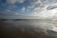 _DSC0983