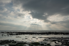 _DSC0987