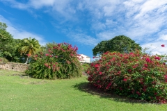 Les Marches aux Exclaves - Petit-Canal