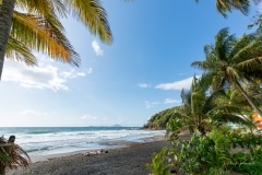 Bronzage matinal aux Bananiers