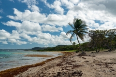 Plage de l'Anse Maurice