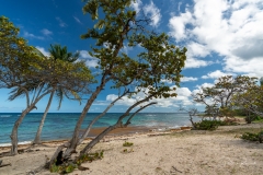 Plage de l'Anse Maurice