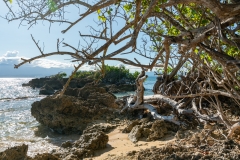 Micro plage à l'Ilet Gosier