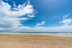 Le dragon veille sur nous