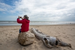 La photographe et le bois flotté