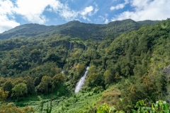 _DSC9701