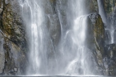 _DSC9855_DxO_2