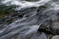 _DSC9872_DxO_2