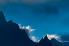 _DSC0197