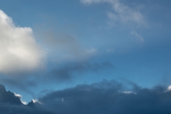 _DSC0199