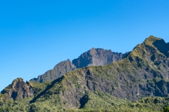 _DSC0212