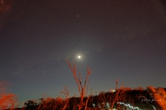 _DSC0269_DxO
