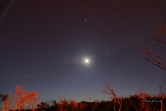 _DSC0270_DxO