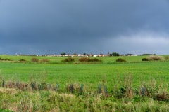 DSC8958